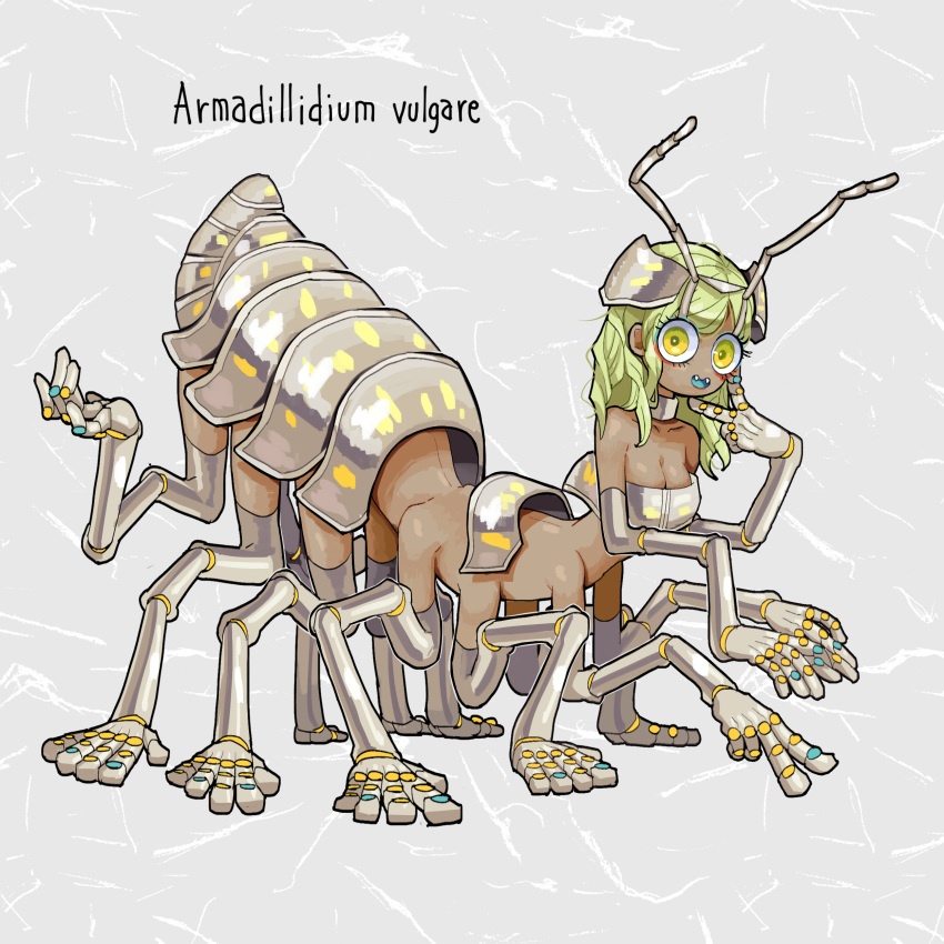 absurdres antennae arthropod_girl arthropod_limbs commentary_request fangs female full_body green_hair grey_background highres isopod long_hair looking_at_viewer monster_girl nicoq_(koikoihaihai) original pillbug_girl solo yellow_eyes