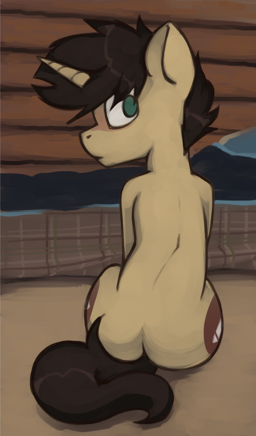 ass brown_hair equid equine feral green_eyes hair hasbro hi_res horn looking_at_viewer looking_back male mammal marsminer my_little_pony mythological_creature mythological_equine mythology nude pone_keith sitting solo unicorn