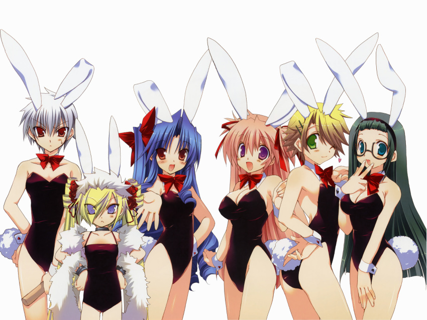 ayakawa_hinako bunnygirl goshuushou-sama_ninomiya-kun houjou_reika kirishima_shinobu okushiro_irori tsukimura_mayu white