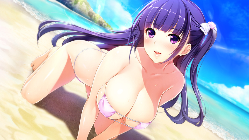 :d all_fours arched_back ass bare_shoulders barefoot beach bikini blush bow breasts cleavage collarbone day dutch_angle enkou_shoujo_2_~jk_idol_masuzu_no_baai~ eyepatch_bikini female game_cg hairbow highres koizumi_amane kurokawa_masuzu large_breasts long_hair non-web_source one_side_up open_mouth outdoors parted_lips pink_bikini purple_eyes purple_hair skindentation smile solo string_bikini sunlight sweat swimsuit thong thong_bikini