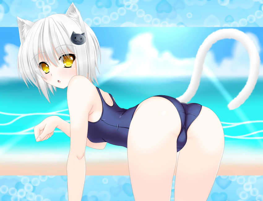 animal_ears catgirl highschool_dxd school_swimsuit short_hair swimsuit tail toujou_koneko white_hair yellow_eyes yuunagi_amane