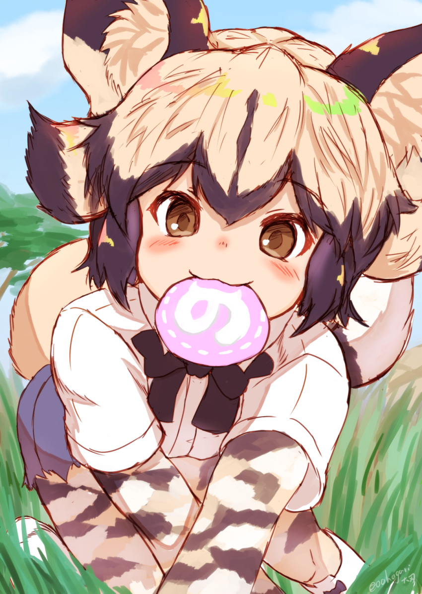 :3 african_wild_dog_(kemono_friends) african_wild_dog_print all_fours animal_ear_fluff animal_ears animal_print black_hair blush bodystocking brown_eyes commentary_request day dog_ears dog_tail female flipped_hair food grass highres japari_bun kemono_friends layered_sleeves light_brown_hair long_sleeves looking_at_viewer mouth_hold multicolored_hair ooba_jun outdoors shirt short_over_long_sleeves short_sleeves shorts sidelocks smile solo tail twitter_username two-tone_hair white_shirt