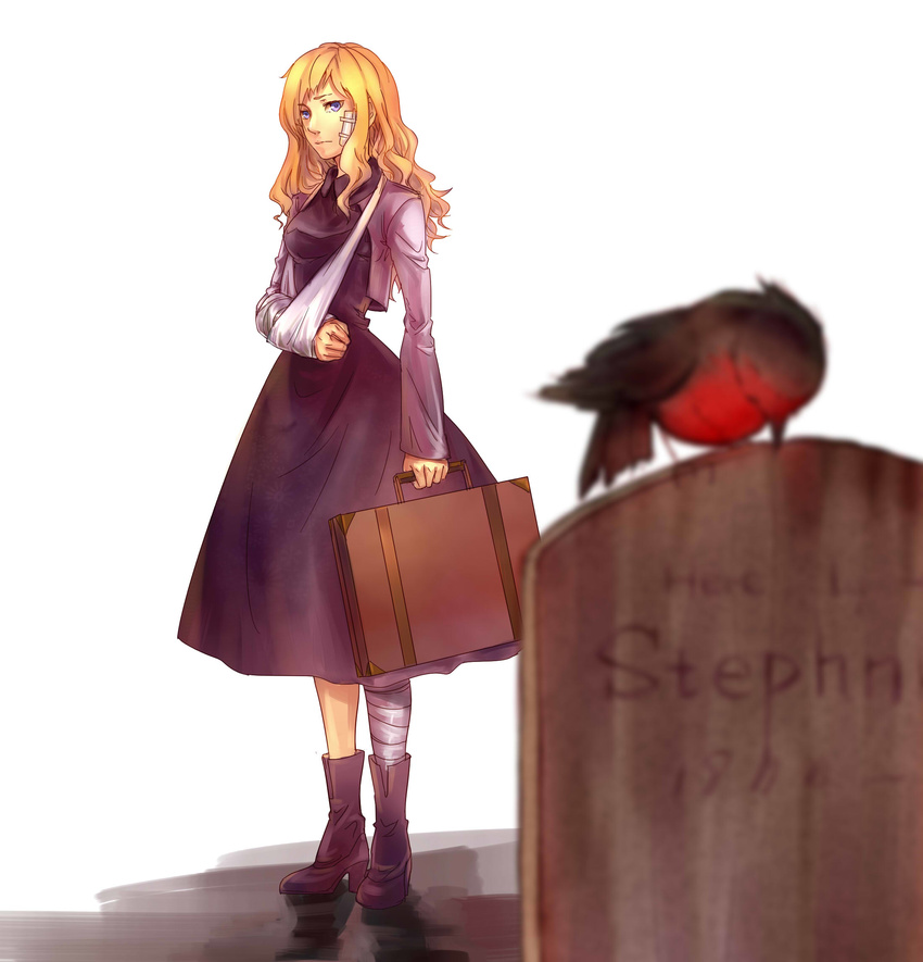 bandage batman_(series) bird blonde_hair blue_eyes dc_comics dress female highres long_sleeves purple_dress robin sling stephanie_brown suitcase tombstone