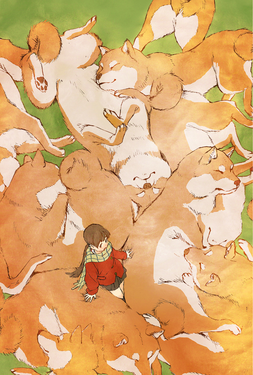 animal bare_legs brown_eyes brown_hair brown_skirt canine coat commentary_request female from_above grass green_scarf highres long_hair open_mouth original outdoors oversized_animal pleated_skirt ponytail red_coat scarf shiba_inu shiki_haru size_difference skirt solo wide_shot winter_clothes