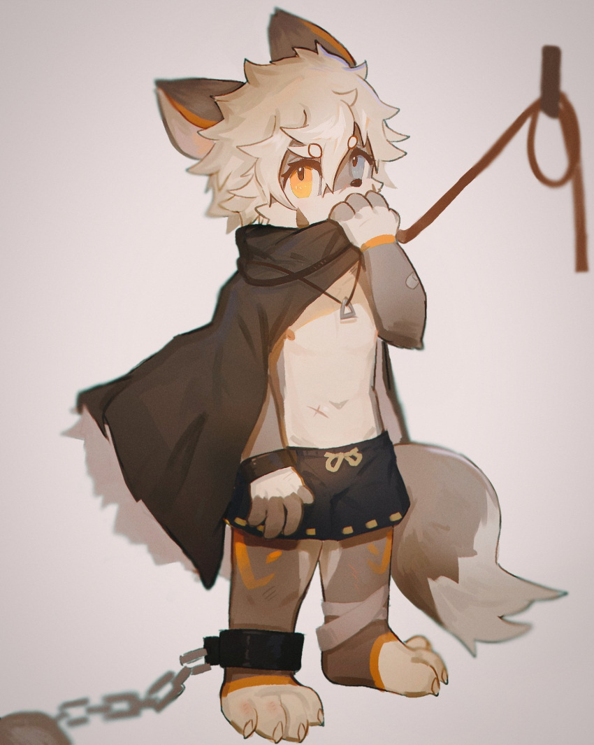 2023 anthro ball_and_chain band-aid bandage barefoot bound canid canine cloak clothed clothing cloudcat collar feet heterochromia hi_res male mammal nipples partially_clothed prisoner scar solo standing tail