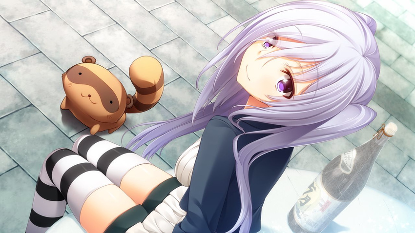 animal bottle ch@r char cosmic_cute female game_cg gleam_garden_no_shoujo gray_hair grey_hair long_hair outdoors purple_eyes shirayuki_(gleam_garden_no_shoujo) sitting smile solo striped striped_legwear striped_thighhighs tanuki thighhighs twintails zettai_ryouiki