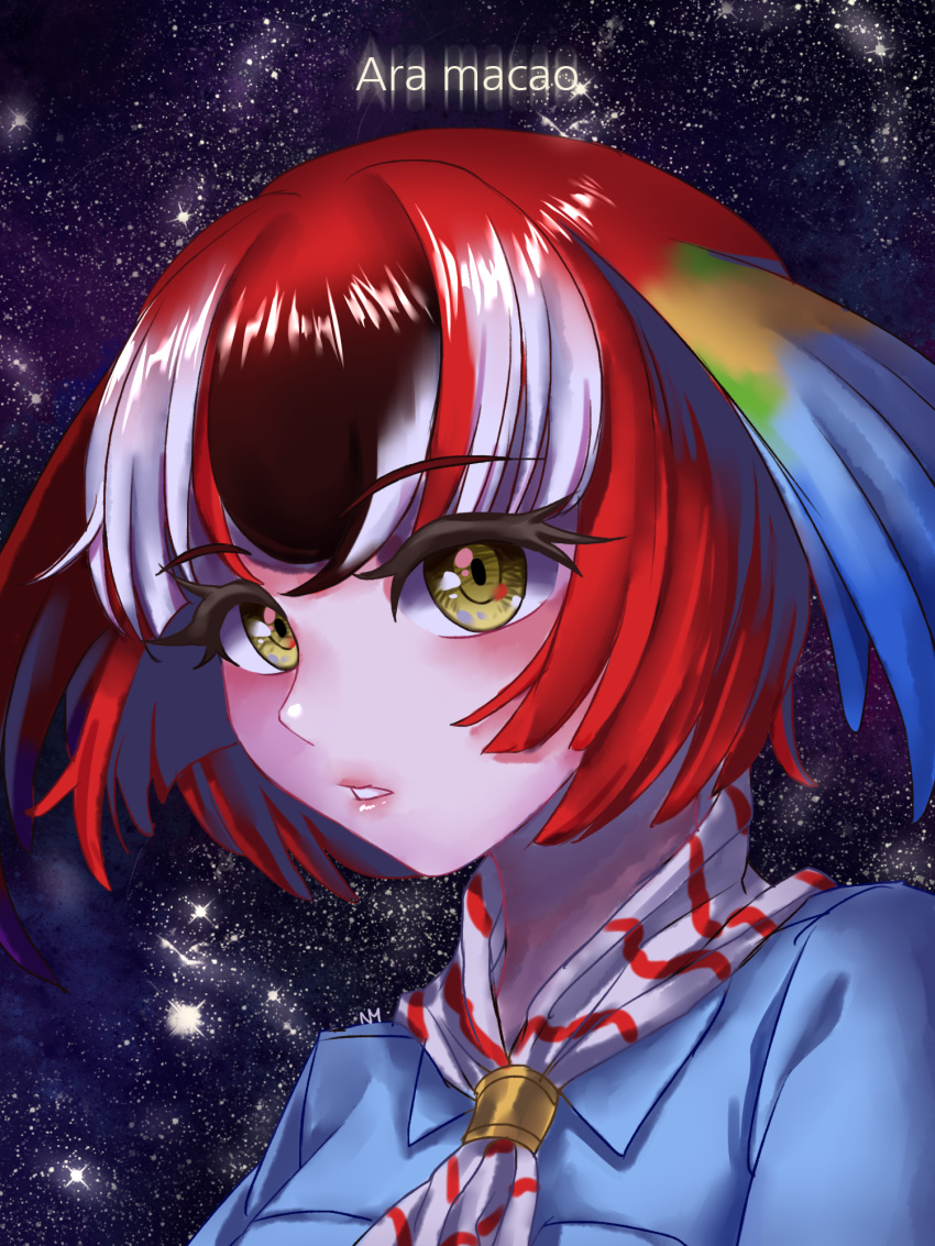 bad_id bad_pixiv_id black_hair feathered_wings female highres kemono_friends multicolored_hair night night_sky portrait red_hair scarlet_macaw_(kemono_friends) scientific_name sky solo star_(sky) teddyellow teeth white_hair wings yellow_eyes