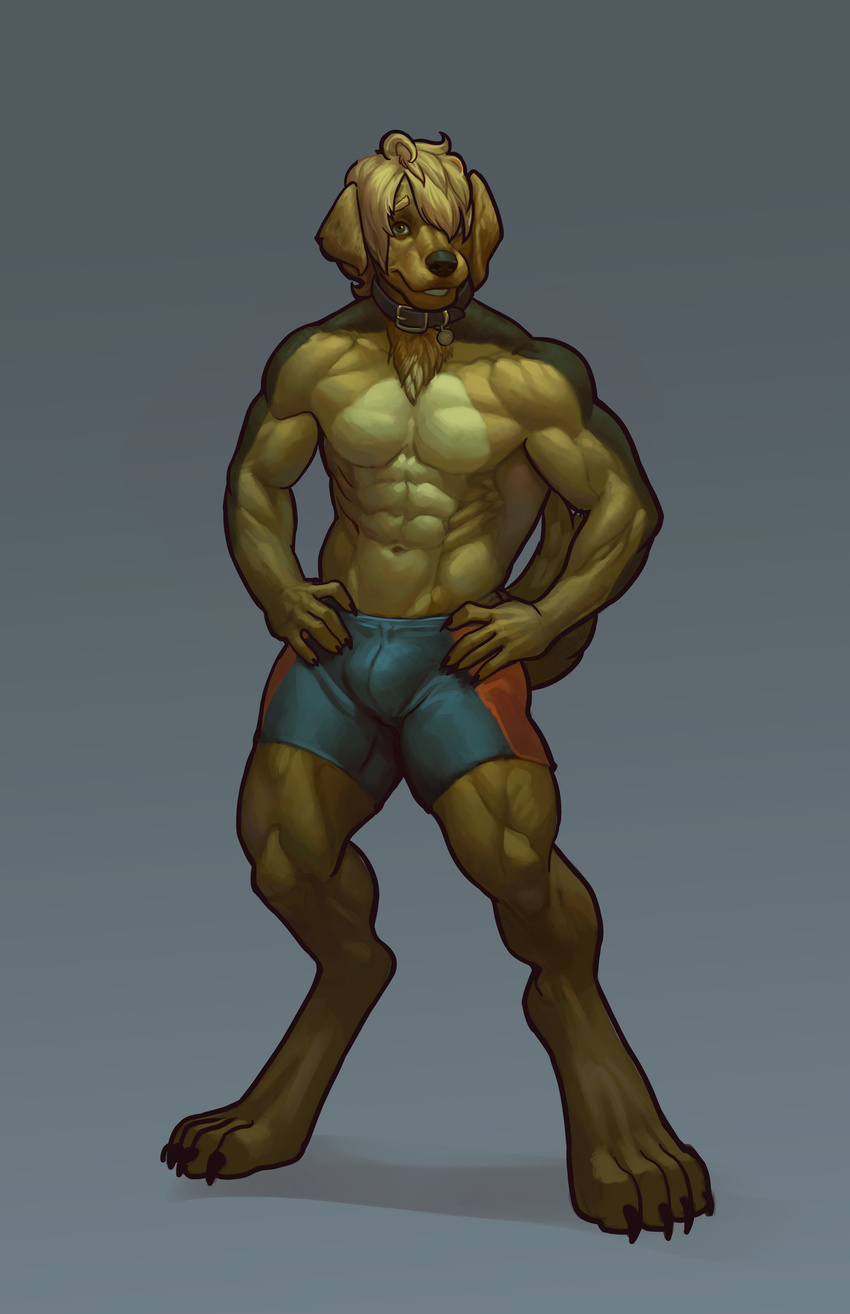 abs absurd_res anthro athletic barefoot biceps biped blazingifrit blonde_hair bottomwear brown_body brown_fur bulge canid canine canis claws clothed clothing domestic_dog feet fur gideon_(tluuvyen) hair hi_res male mammal muscular muscular_anthro paws pecs shorts solo standing tan_body tan_fur toe_claws topless