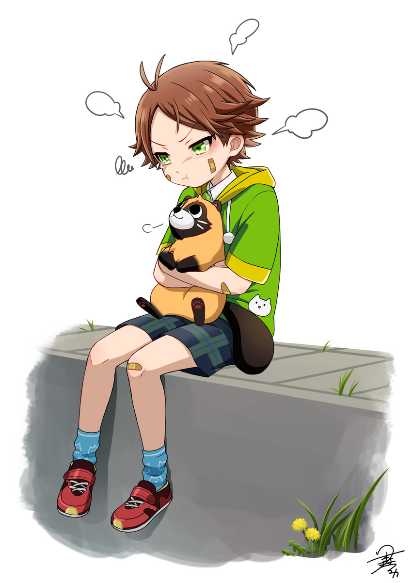 1boy :t absurdres animal antenna_hair bad_id bad_twitter_id bandaid bandaid_on_face bandaid_on_knee bandaid_on_leg blue_socks brown_hair crying crying_with_eyes_open dandelion flower foot_dangle full_body green_eyes highres holding holding_animal hood hoodie leaf lolicon looking_at_another looking_down looking_up male_focus plant pout red_footwear shoes short_sleeves shorts signature sitting sneakers socks solo squiggle tanuki tearing_up tears tsukimori_fuyuka urashimasakatasen uratanuki utaite v-shaped_eyebrows yamadanuki