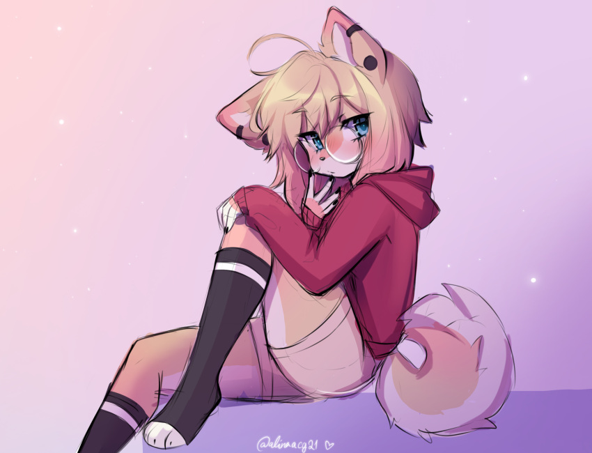 anakoluth animal_ears aska_(anakoluth) black_socks blonde_hair blue_eyes dog_ears dog_girl dog_tail female furry furry_female glasses highres hood hoodie kneehighs long_sleeves looking_at_viewer original red_hoodie round_eyewear short_hair socks solo tail