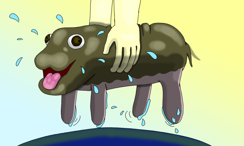 ambiguous_gender common_hippopotamus hi_res hippopotamid mammal playful solo squirming struggling wet