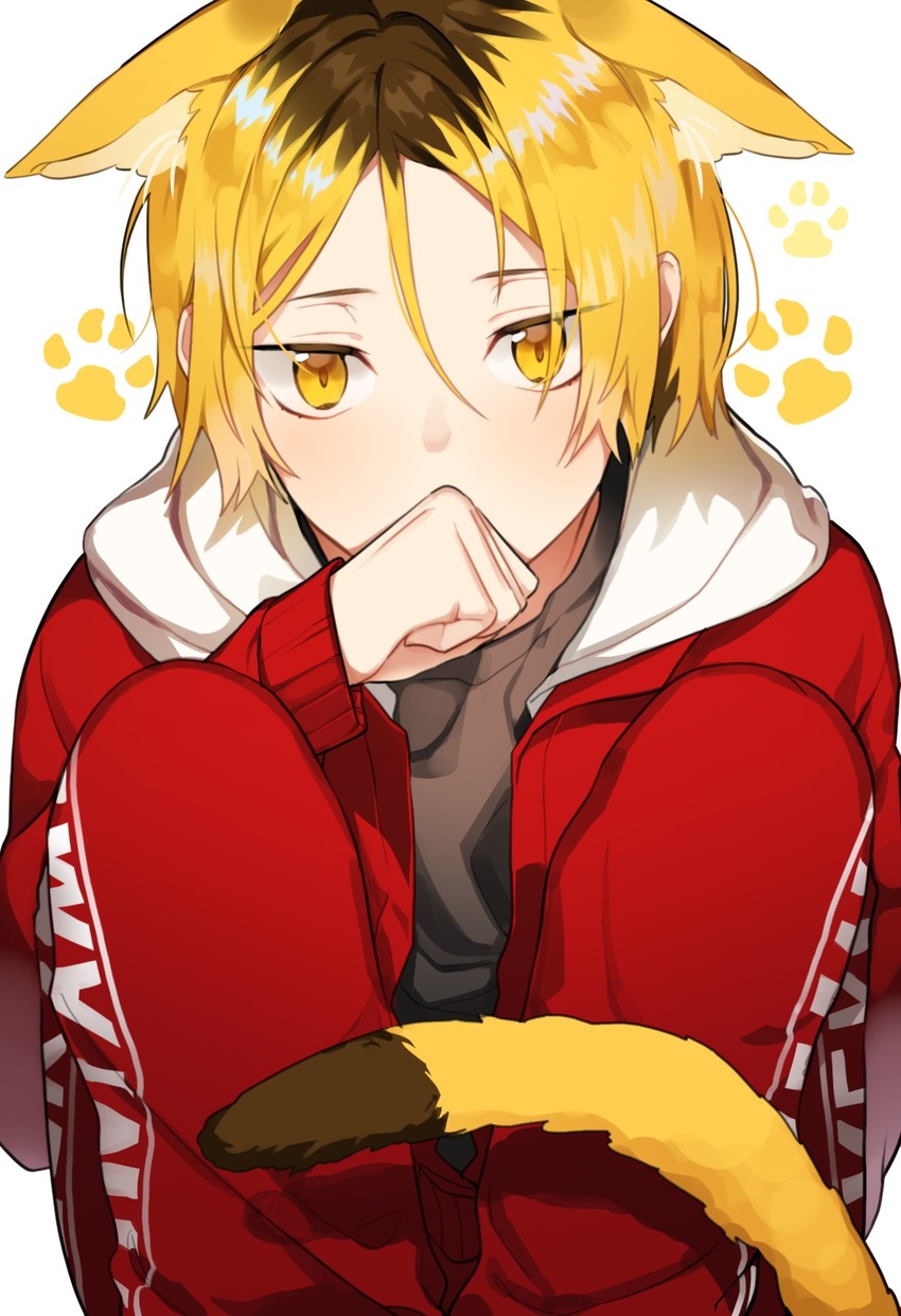 1boy animal_ears bad_id bad_twitter_id bari_dal blonde_hair cat_boy cat_ears cat_tail clenched_hand haikyuu!! highres hood hoodie jacket knees_up korean_commentary kozume_kenma long_sleeves looking_at_viewer male_focus multicolored_hair open_clothes pants paw_print paw_print_background sitting solo tail two-tone_hair yellow_eyes