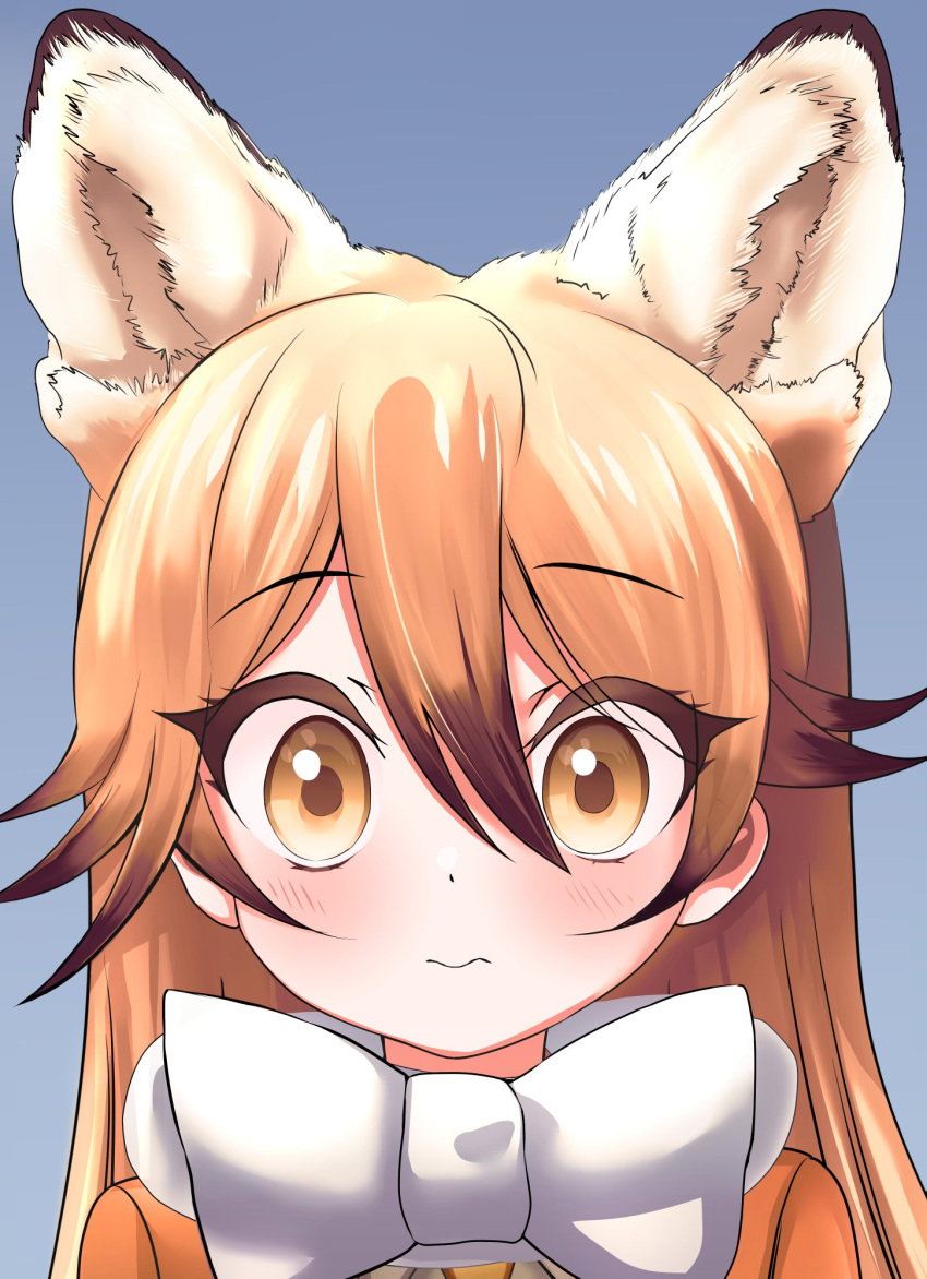 akegata_tobari animal_ears blush bow bowtie brown_hair close-up commentary extra_ears ezo_red_fox_(kemono_friends) female fox_ears fox_girl highres kemono_friends long_hair looking_at_viewer multicolored_hair orange_eyes orange_hair solo wavy_mouth white_bow white_bowtie