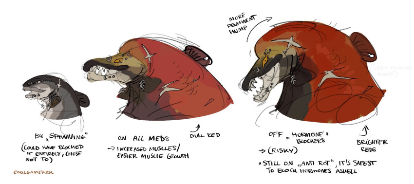 anthro coolgamer2k diagram english_text fin fish furgonomics furry-specific_piercing gills grey_body grey_scales growth hi_res male marine medication model_sheet muscle_growth muscular open_mouth piercing red_body red_scales salmon salmonid_(fish) scales scar sharp_teeth solo teeth text