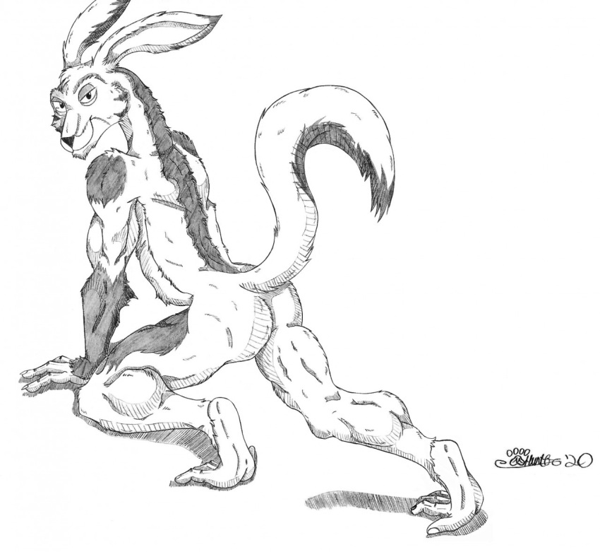 2020 anthro ass fur half-closed_eyes looking_at_viewer looking_back male mammal marcushunter monochrome mouth_closed narrowed_eyes nude pose radarr raised_tail signature smile smiling_at_viewer smirk solo storm_hawks tail