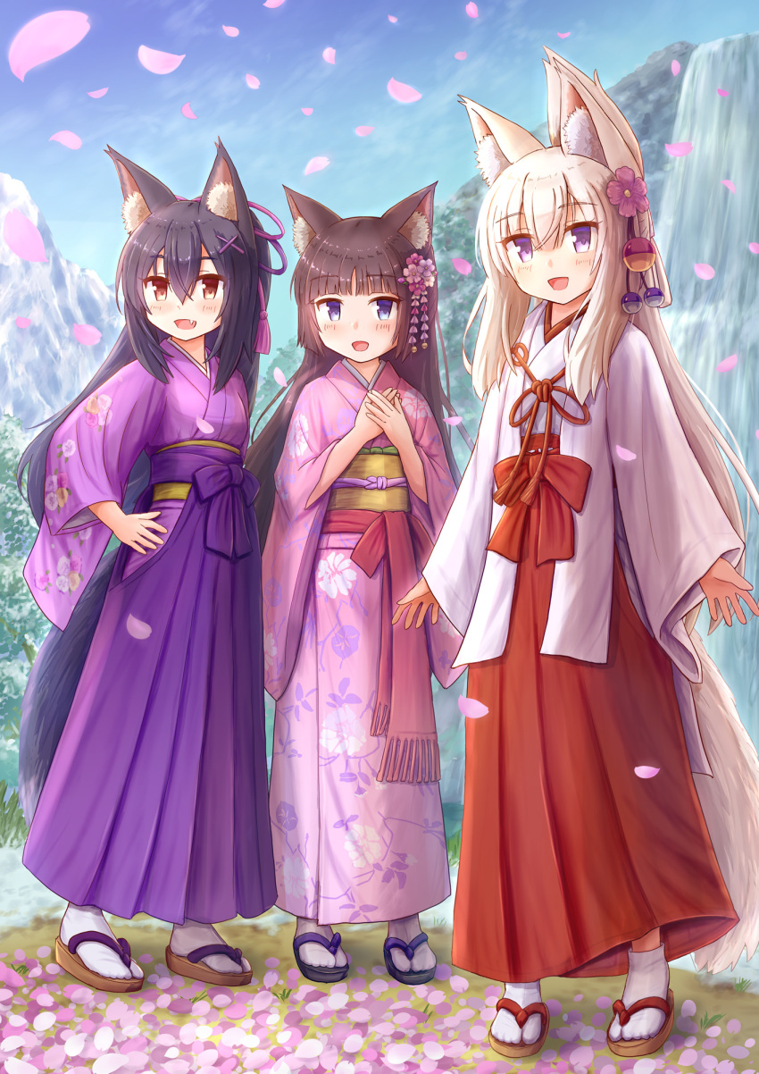 3girls :d animal_ear_fluff animal_ears black_footwear black_hair blue_eyes blue_sky blush brown_eyes brown_footwear brown_hair cat_ears cherry_blossoms commentary_request day floral_print flower fox_ears fox_girl fox_tail hair_between_eyes hair_flower hair_ornament hairclip hakama hakama_skirt hand_on_own_hip hands_up highres iroha_(iroha_matsurika) japanese_clothes kimono koyoi_(iroha_(iroha_matsurika)) kunoichi-chan_(iroha_(iroha_matsurika)) long_hair long_sleeves miko mountain multiple_girls mutsuki_(iroha_(iroha_matsurika)) obi oerba_yun_fang open_mouth original outdoors own_hands_together pink_flower pink_kimono print_kimono purple_eyes purple_hakama red_hakama sandals sash skirt sky sleeves_past_wrists smile socks standing tabi tail very_long_hair water waterfall white_hair white_kimono white_legwear wide_sleeves wolf_ears wolf_girl wolf_tail x_hair_ornament zouri