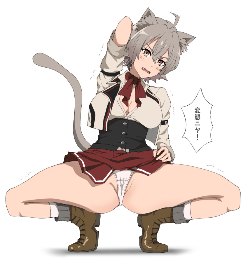 ahoge animal_ear_fluff animal_ears blush breasts cat_ears cat_girl cat_tail female full_body highres long_sleeves morime mushoku_tensei oerba_yun_fang open_mouth panties pleated_skirt ranoa_magic_academy_school_uniform red_skirt rinia_dedoldia school_uniform shirt short_hair skirt socks solo spread_legs squatting tail underwear white_background white_panties white_shirt