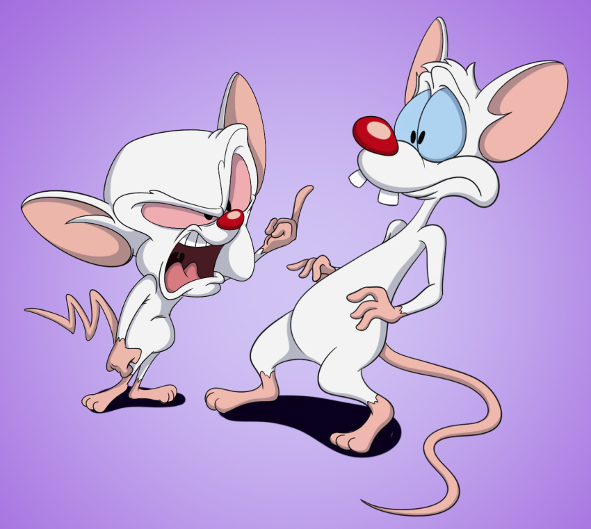 angry anthro buckteeth duo eye_contact hi_res looking_at_another male mammal mouse murid murine open_mouth pinky_(warner_brothers) pinky_and_the_brain rodent scottforester17 simple_background teeth the_brain warner_brothers