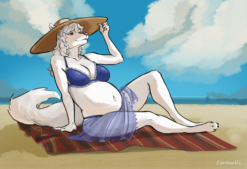 2024 4_toes 5_fingers anthro beach beach_towel belly big_belly bikini black_nose breasts canid canine carduelis cleavage clothed clothing feet female fingers fox fur hair hat headgear headwear hi_res hindpaw humanoid_hands mammal navel paws pregnant pregnant_anthro pregnant_female sand seaside signature smile solo sun_hat swimwear toes towel white_body white_fur white_hair