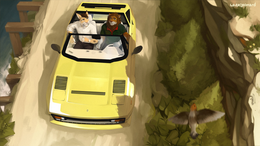 16:9 2020 5_fingers anthro avian bird black_bottomwear black_clothing black_pants bottomwear brown_hair car cliff clothed clothing convertible digital_media_(artwork) driving duo eye_contact felid feline ferrari fingers fur grass green_clothing green_topwear hair hi_res inside_car leaf lion looking_at_another luxen_(luxenkitty) lynx mafundi male mammal mane motor_vehicle multicolored_body multicolored_fur orange_body orange_fur pantherine pants plant polo_shirt road sea seaside shirt topwear vehicle water white_body white_clothing white_fur white_shirt white_topwear whiteleonard widescreen