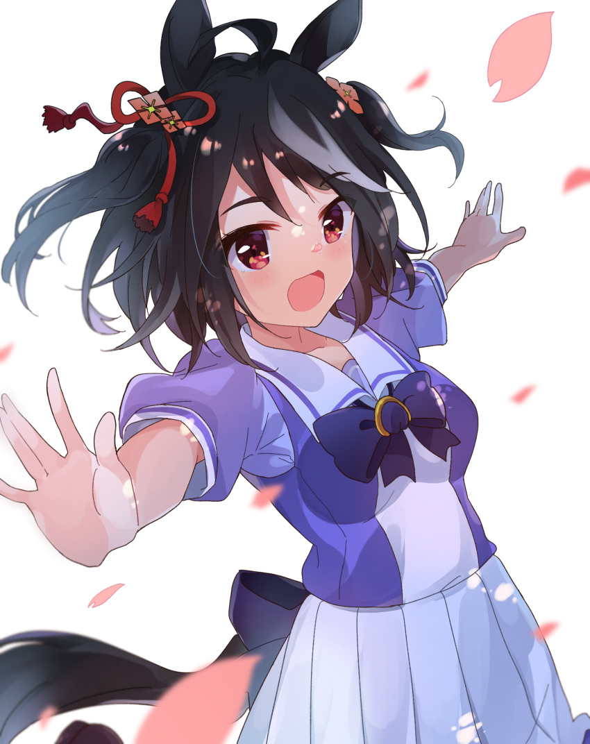 :d ahoge animal_ears black_bow black_hair bow bowtie breasts commentary female hidejiu highres horse_ears horse_girl horse_tail horseshoe_ornament kitasan_black_(umamusume) looking_at_viewer miniskirt multicolored_hair open_mouth outstretched_arms petals pleated_skirt puffy_short_sleeves puffy_sleeves purple_shirt red_eyes sailor_collar sailor_shirt school_uniform shirt short_sleeves simple_background skirt small_breasts smile solo spread_arms streaked_hair summer_uniform tail tracen_school_uniform two_side_up umamusume white_background white_hair white_skirt