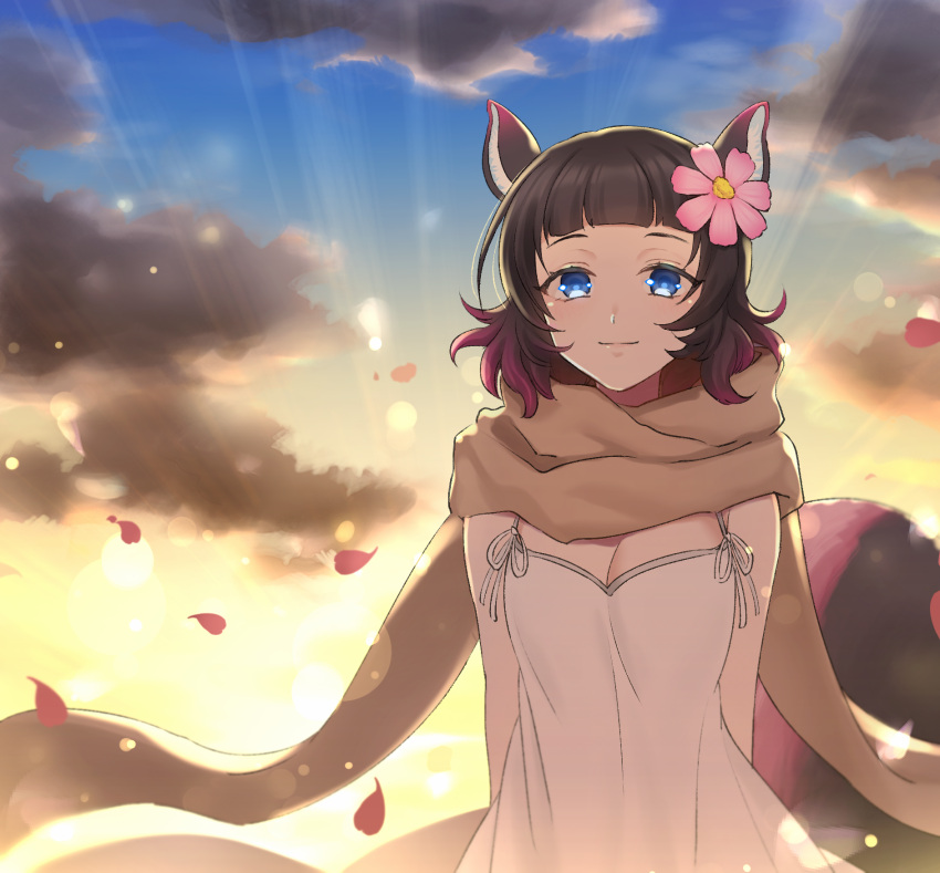 animal_ears breasts brown_hair brown_scarf cleavage closed_mouth cloud cloudy_sky female flower hair_flower hair_ornament haraiku_(show_by_rock!!) highres looking_at_viewer mel6969 multicolored_hair pink_flower pink_hair scarf short_hair show_by_rock!! sky smile solo squirrel_ears squirrel_girl sunset tank_top white_tank_top