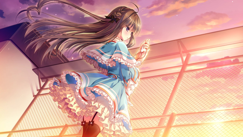 boukyaku_shitsuji_to_koi_suru_ojou-sama_no_memoir bow brown_hair campus chidori_hinano dress game_cg lolita_fashion long_hair purple_eyes rubi-sama stockings sunset