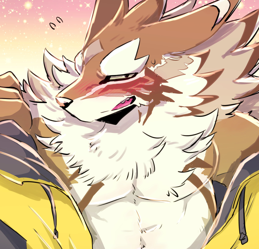 absurd_res blush canid canine canis clothing countershading embarrassed fluffy hi_res jackal jacket lifewonders male mammal nokia1124_a pecs seth_(tas) solo tokyo_afterschool_summoners topwear undressing