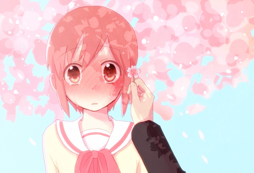 1boy blush commentary_request female flower full-face_blush mado_(view85) nichijou pink_eyes pink_hair sasahara_koujirou school_uniform short_hair tachibana_misato tears tokisadame_school_uniform