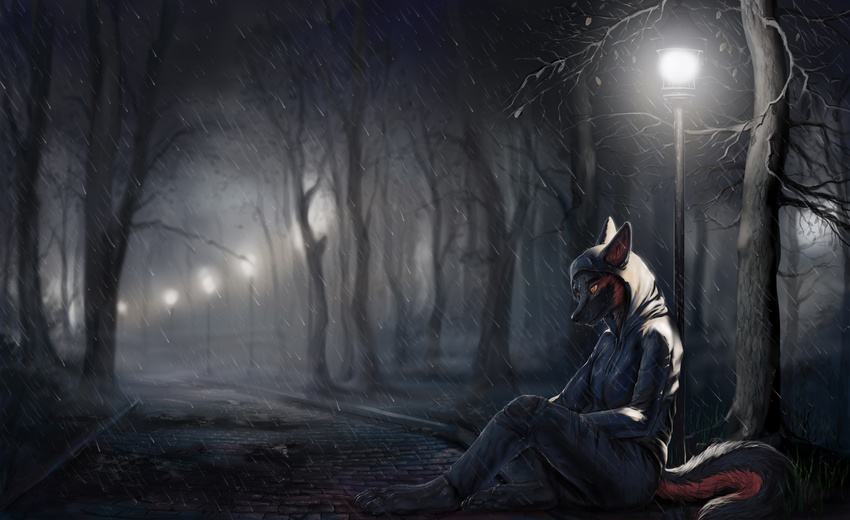 aaros abandoned amber_eyes anthro barefoot biped canid canine clothed clothing detailed_background digital_media_(artwork) digital_painting_(artwork) feet female forest fur hi_res lonely mammal night outside park plant pupils raining sitting slit_pupils solo street tail tree wet