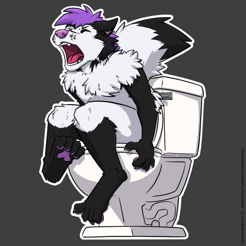 2023 ajax_(lonewolf40) anthro artist_name black_body black_fur canid canine canis claws closed_eyes curling_toes digital_media_(artwork) domestic_dog feet fur grey_background hair hi_res humor husky hybrid kemira male mammal nordic_sled_dog open_mouth outline pain pawpads pink_mouth pooping_in_toilet purple_hair purple_pawpads purple_snout scat simple_background sitting sitting_on_toilet solo spitz toilet white_body white_fur white_outline wolf wolfdog