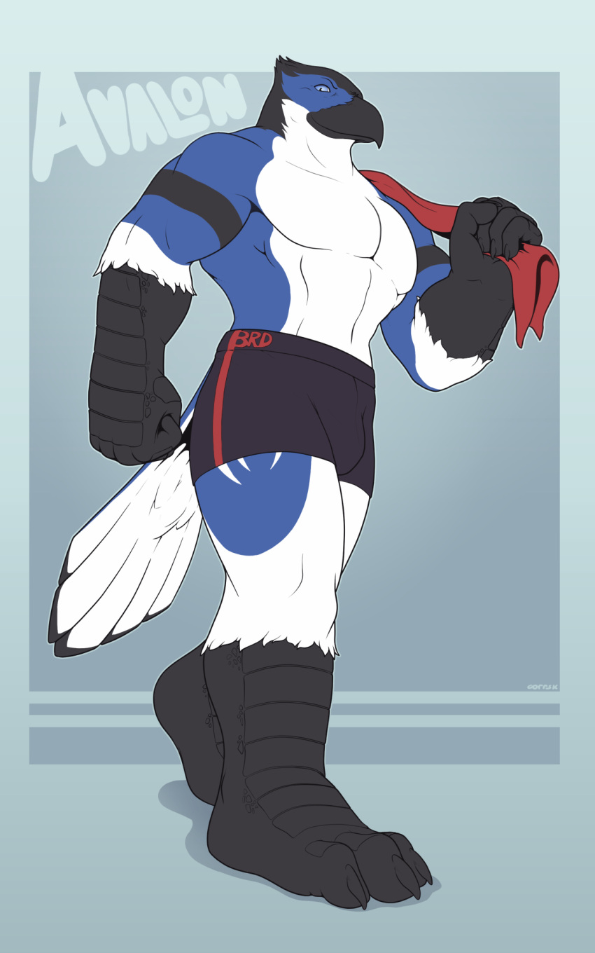 5:8 anthro avalon avalon_(blueavian) avalonblueavian avalondragon avalonjay avian barefoot beak biceps big_feet biped bird blue_body blue_jay boxer_briefs claws clothed clothing corrsk corvid digital_media_(artwork) feathers feet hi_res humanoid_heel jay_(bird) looking_at_viewer male muscular muscular_anthro muscular_male new_world_jay oscine passerine paws pecs simple_background solo toes topless underwear