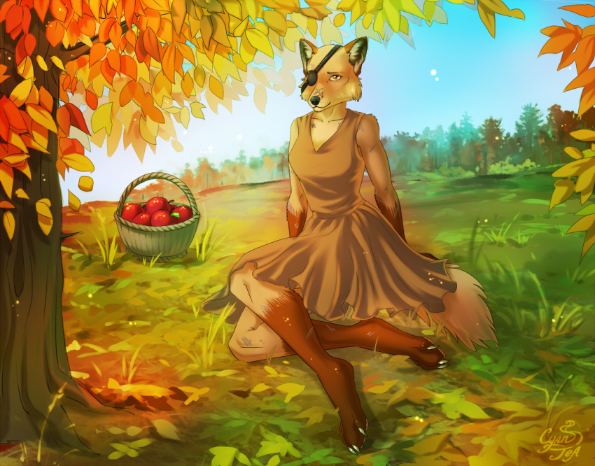 4_toes anthro apple autumn barefoot basket brown_body brown_fur canid canine claws clothing container cyantea digitigrade dress eye_patch eyewear facial_scar farrow_(mutant:_year_zero) feet female food fox fruit fruit_basket fur gloves_(marking) grass leaf leg_markings looking_at_viewer mammal markings mutant:_year_zero mutant_(franchise) orange_body orange_eyes orange_fur pawpads paws pink_pawpads plant red_fox romantic romantic_ambiance scar signature sitting sitting_on_grass sitting_on_ground smile smiling_at_viewer socks_(marking) solo sundress toes tree true_fox warm_colors warm_lighting white_body white_fur