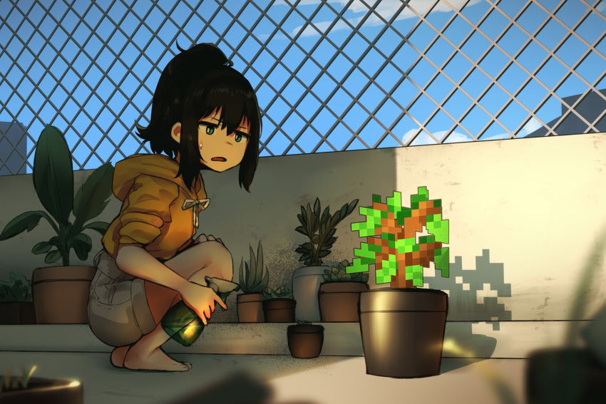 barefoot blue_eyes blue_sky bottle female fence flower_pot grimace high_ponytail highres hoplitx medium_hair minecraft orange_sweater original outdoors pixelated plant plant_request ponytail shorts sky solo spray_bottle squatting sweatdrop sweater