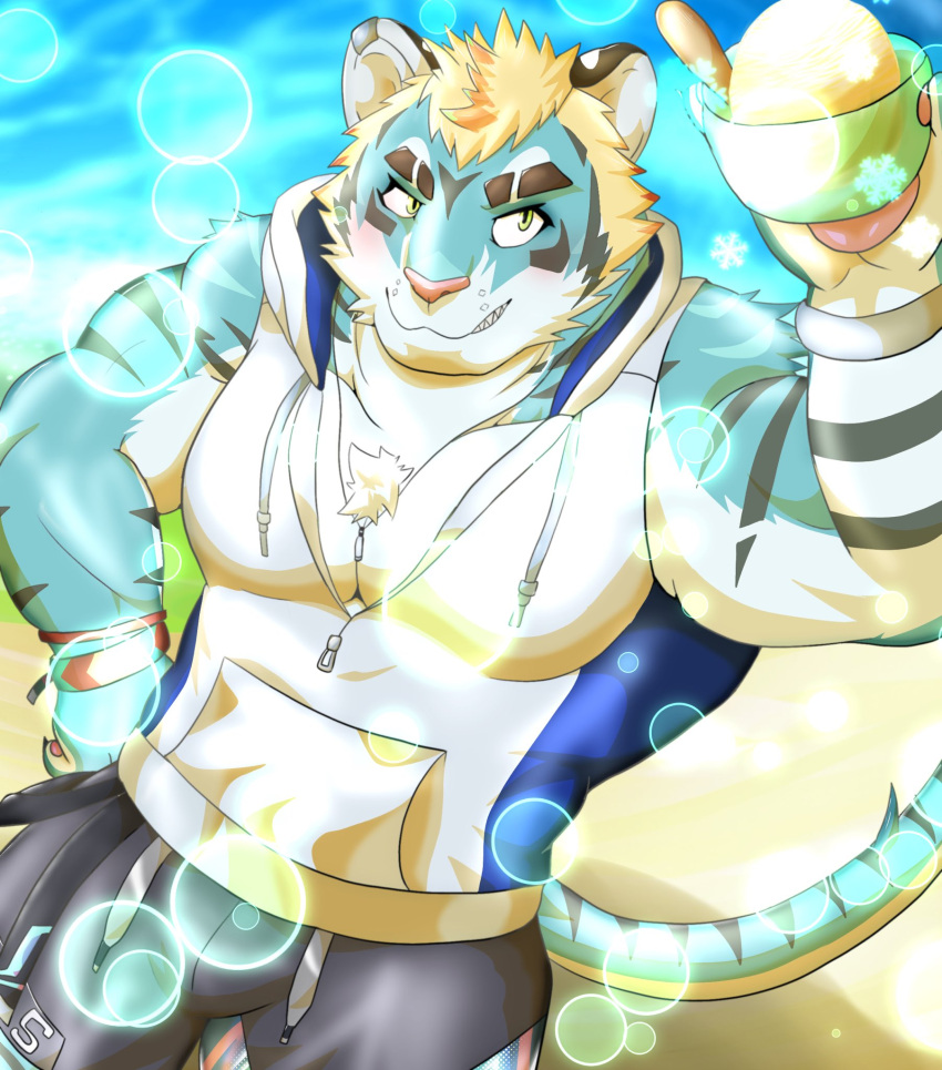 anthro beach blonde_hair blue_body blue_fur bottomwear clothing felid fur green_eyes hair hi_res lifewonders live_a_hero male mammal muscular muscular_anthro muscular_male pantherine pecs rexer shorts sleeveless_hoodie solo striped_body striped_fur stripes tiger yom_mido_plus