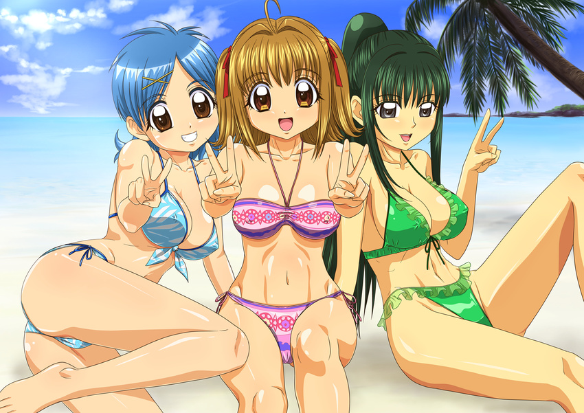 3girls ahoge ankoku_tiger arm_support beach bikini black_eyes blonde_hair blue_hair breasts brown_eyes cameltoe cleavage commentary_request day double_v frilled_bikini frills front-tie_top green_hair grin highleg highleg_bikini highleg_swimsuit houshou_hanon long_hair medium_breasts mermaid_melody_pichi_pichi_pitch multiple_girls nanami_lucia navel open_mouth outdoors palm_tree ponytail shiny_skin short_hair side-tie_bikini_bottom smile swimsuit touin_rina tree v