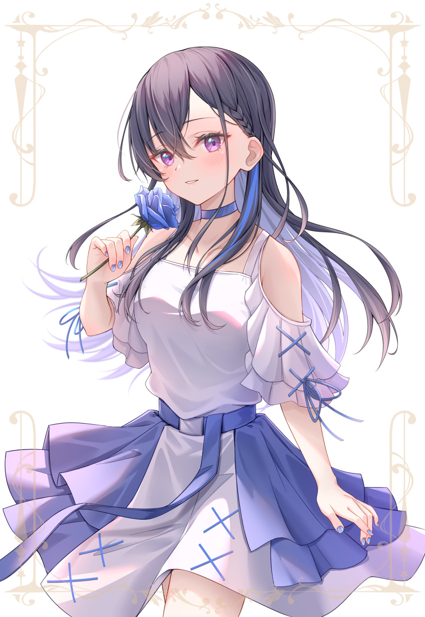 arm_at_side black_hair blue_choker blue_flower blue_hair blue_nails blue_rose blue_sash blush breasts choker clothing_cutout collarbone colored_inner_hair cowboy_shot dress female flower framed hair_between_eyes hair_over_breasts hair_over_one_eye hand_up highres holding holding_flower ichinose_uruha long_hair looking_at_viewer lupinus_virtual_games medium_breasts multicolored_hair nail_polish parted_lips purple_eyes ribbon-trimmed_sleeves ribbon_trim rose sash short_dress shoulder_cutout sidelocks solo standing streaked_hair toki_(toki_ship8) virtual_youtuber vspo! white_background