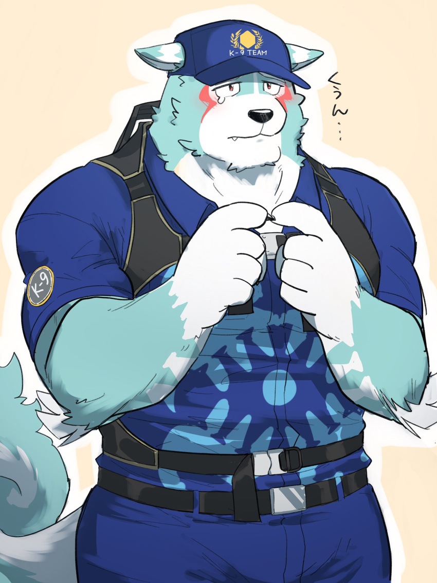 1boy 1hao_(@cerbero64) animal_ears bara belt blue_fur bulge chest_harness commentary cowboy_shot ears_down fidgeting furry furry_male harness highres index_fingers_together large_tail male_focus muscular muscular_male oguchi_magami pectorals police police_uniform policeman solo symbol-only_commentary tail tearing_up tokyo_afterschool_summoners uniform white_fur wolf_boy wolf_ears