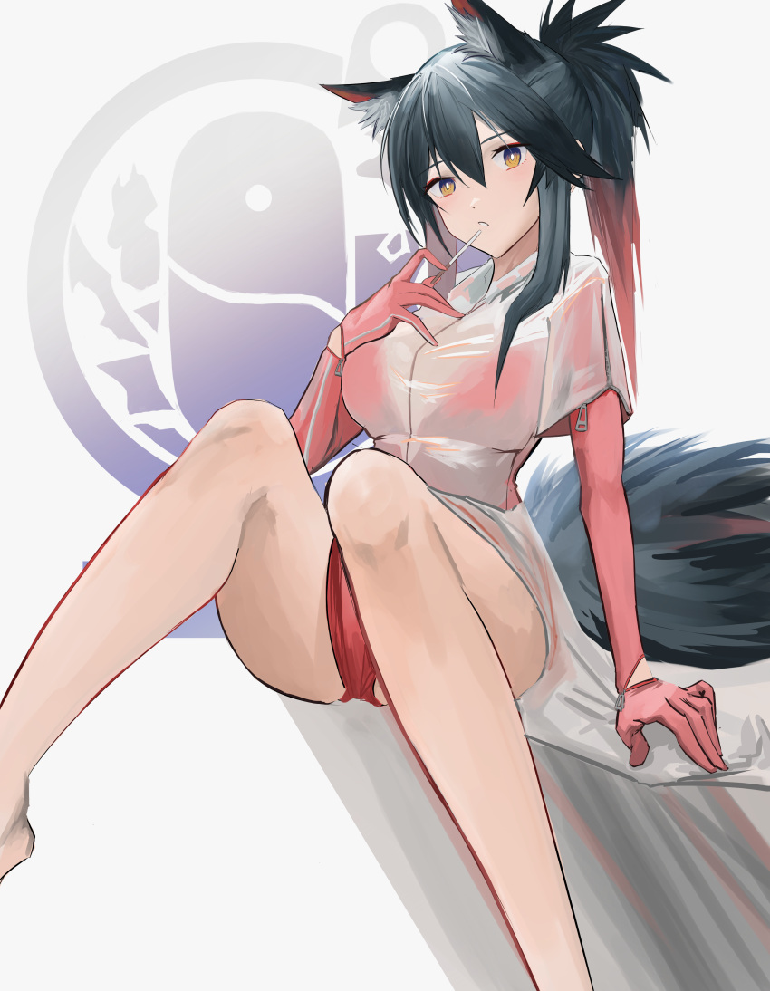 absurdres animal_ear_fluff animal_ears arknights black_hair commentary extra_ears feet_out_of_frame female food gloves hair_between_eyes highres holding hrk_(dxez4457) jacket long_hair looking_at_viewer penguin_logistics_logo pocky ponytail red_gloves red_hair red_shorts see-through see-through_jacket shirt shorts sitting solo tail texas_(arknights) wolf_ears wolf_girl wolf_tail yellow_eyes zipper