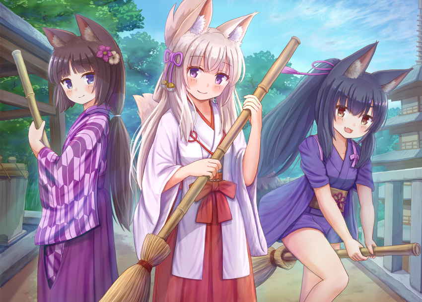 3girls :d absurdres animal_ear_fluff animal_ears bamboo_broom black_hair blue_eyes blush broom brown_eyes brown_hair building cat_ears closed_mouth commentary_request day flower fox_ears fox_girl hair_between_eyes hair_flower hair_ornament hair_ribbon hakama hakama_skirt highres holding holding_broom iroha_(iroha_matsurika) japanese_clothes kimono koyoi_(iroha_(iroha_matsurika)) kunoichi-chan_(iroha_(iroha_matsurika)) long_hair long_sleeves looking_at_viewer miko multiple_girls mutsuki_(iroha_(iroha_matsurika)) obi oerba_yun_fang open_mouth original outdoors pink_ribbon ponytail purple_eyes purple_flower purple_hakama purple_kimono railing red_hakama ribbon sash short_kimono short_sleeves skirt smile standing tasuki tree very_long_hair white_kimono wide_sleeves yagasuri