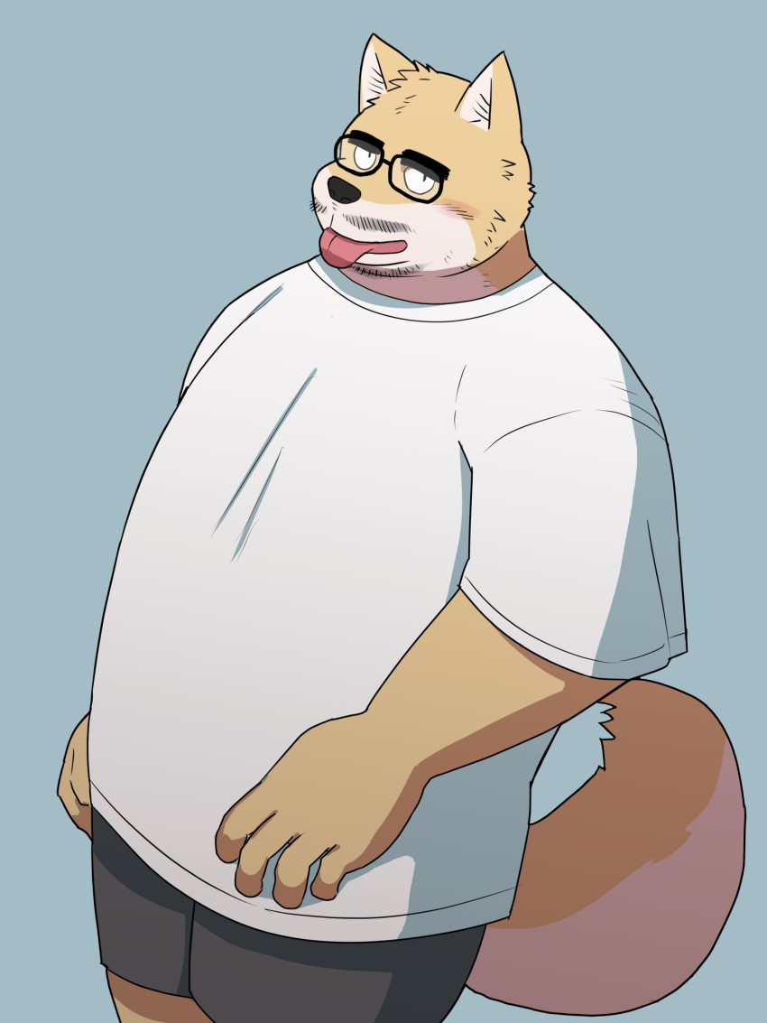 2023 3:4 anthro bottomwear canid canine canis clothing domestic_dog eyewear facial_hair glasses hi_res kemono kick_(artist) male mammal moustache shirt shorts slightly_chubby solo tongue tongue_out topwear