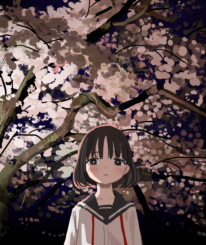 absurdres black_sailor_collar blush bright_pupils brown_eyes brown_hair cherry_blossoms closed_mouth collarbone commentary english_commentary female highres looking_at_viewer neck_ribbon night original outdoors red_ribbon ribbon sailor_collar school_uniform serafuku shirt short_hair spring_(season) undone_neck_ribbon upper_body white_pupils white_shirt zinbei