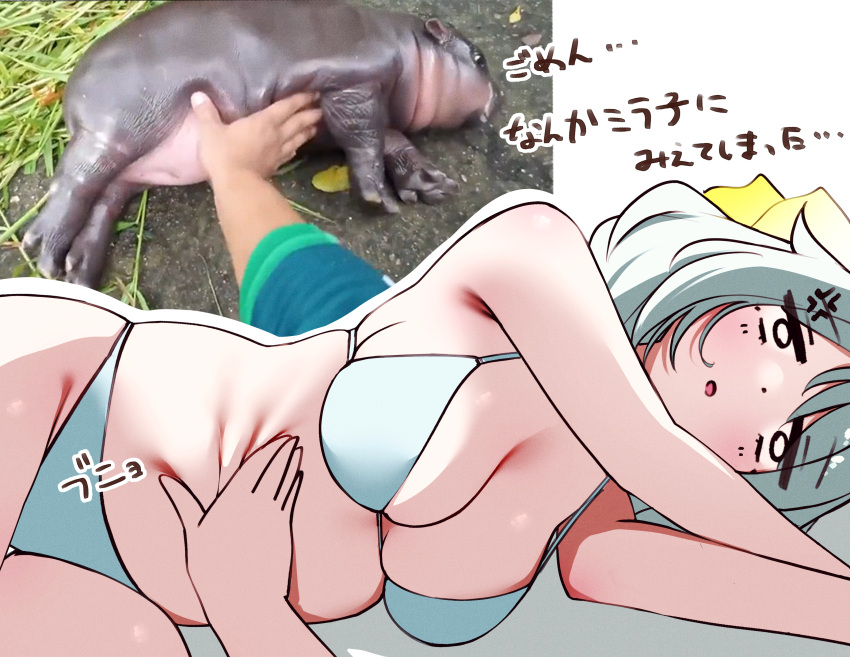 absurdres anger_vein animal_ears bikini breasts cleavage collarbone commentary female grey_hair highres hishi_miracle_(umamusume) horse_ears horse_girl horse_tail looking_at_viewer medium_breasts moo_deng open_mouth photo-referenced plump ponta_(1859ysmssstsp) pov pov_hands real_life real_life_insert reference_inset solo swimsuit tail translated umamusume