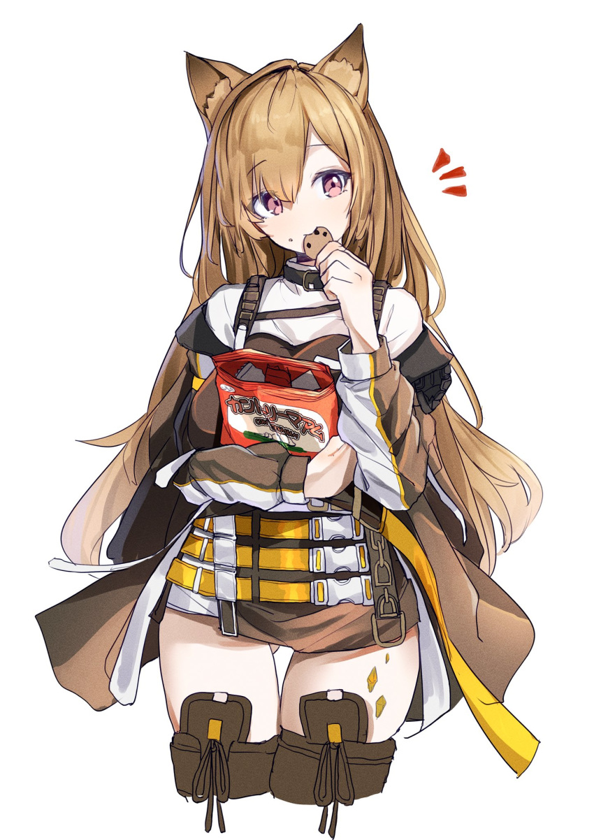 animal_ears arknights ass_visible_through_thighs bag belt brown_eyes brown_hair brown_jacket brown_thighhighs ceobe_(arknights) cookie cropped_legs dog_ears eating female food gu_luco highres holding jacket long_hair long_sleeves looking_at_viewer multiple_belts notice_lines off_shoulder open_clothes open_jacket plastic_bag shirt simple_background skindentation solo thigh_gap thighhighs thighs white_background white_shirt zettai_ryouiki