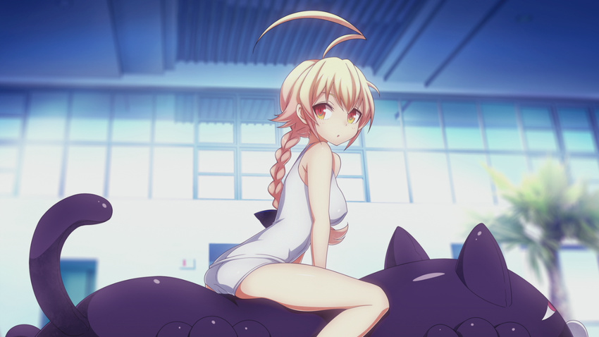 :o ahoge ass blazblue blonde_hair blush bow braid breasts ceiling es_(xblaze) female flipped_hair from_side game_cg hairbow higuchi_konomi huge_ahoge indoors inflatable_cat inflatable_raft leaning_forward long_hair looking_at_viewer looking_back medium_breasts multicolored_eyes one-piece_swimsuit orange_eyes palm_tree parted_lips red_eyes school_swimsuit single_braid sitting straddling surprised swimsuit tree white_one-piece_swimsuit window xblaze xblaze_code:_embryo