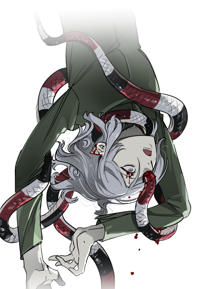 1boy blood blood_on_face border dungeon_meshi elf eye_injury fading_border green_shirt grey_eyes grey_hair high_collar highres long_sleeves male_focus medium_hair mithrun mithrun_(young) oejikim open_mouth pointy_ears shirt simple_background snake snake_bondage solo upside-down wavy_hair white_background