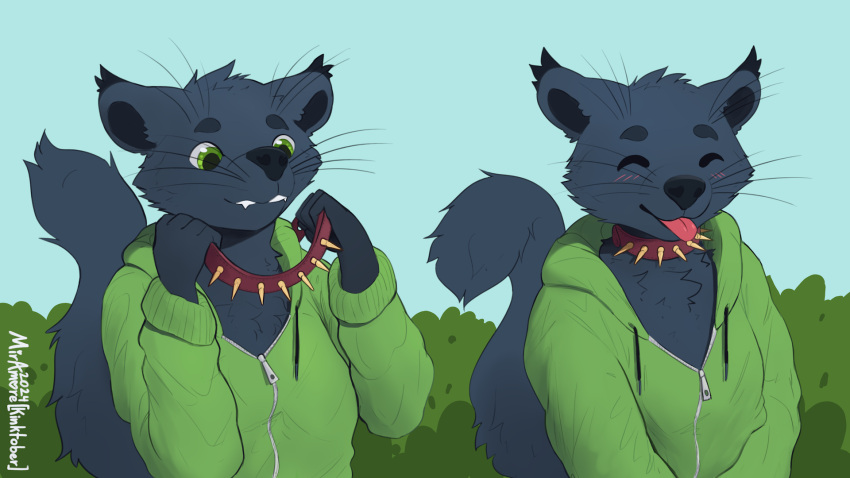 ambiguous_gender anthro binturong blep clothing collar collaring cute_fangs digital_media_(artwork) fluffy_ears fur green_eyes hi_res hoodie mammal miramore simple_background solo spiked_collar spikes tail teeth tongue tongue_out topwear tuft viverrid