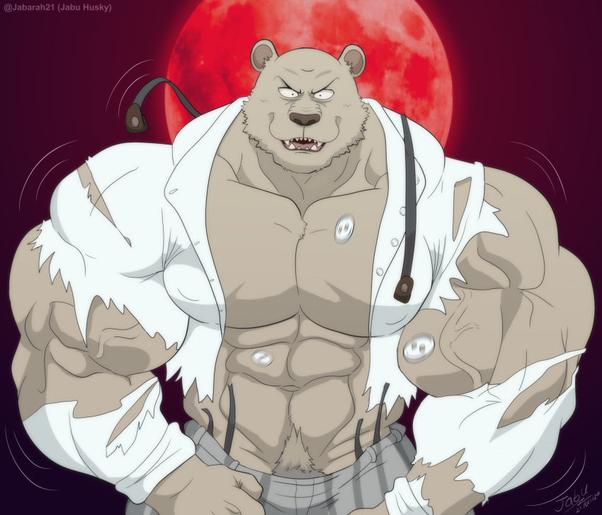 2024 abs anthro bear beastars biceps big_biceps big_muscles blood_moon body_hair bottomwear clothed clothing dress_shirt flexing flexing_bicep flexing_both_biceps growth happy_trail hi_res huge_muscles hyper hyper_muscles jabuhusky male mammal moon muscle_growth muscular muscular_anthro muscular_arms muscular_male navel open_mouth pants pecs riz_(beastars) shirt signature simple_background solo suspenders topwear torn_clothing vein veiny_muscles