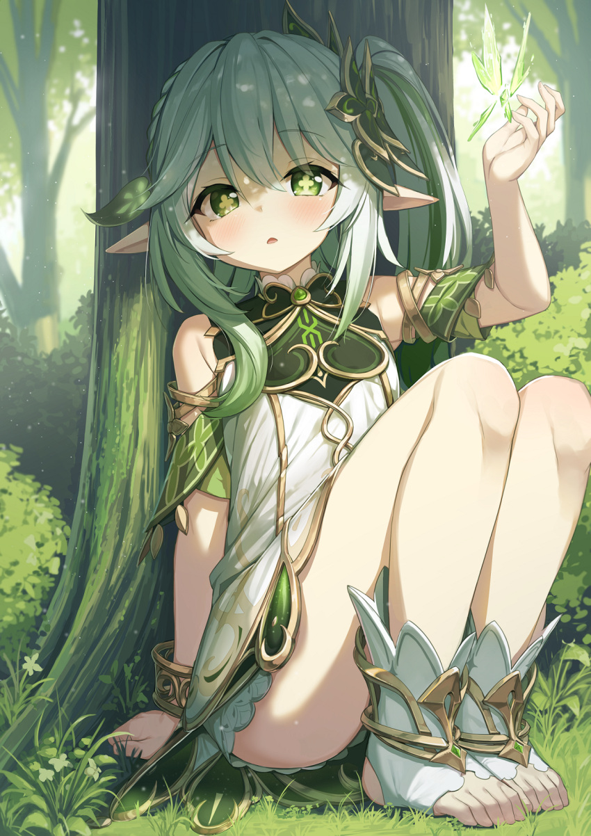 arm_up bare_legs bare_shoulders blush bracer braid commentary_request cross-shaped_pupils crystalfly_(genshin_impact) darnell dress feet female forest genshin_impact gradient_hair grass green_eyes green_hair hair_between_eyes hair_ornament highres knees_up korean_commentary leaf_hair_ornament long_hair looking_at_viewer multicolored_hair nahida_(genshin_impact) nature outdoors parted_lips pointy_ears side_ponytail sidelocks sitting socks solo stirrup_legwear symbol-shaped_pupils thighs toeless_legwear toes tree two-tone_hair white_dress white_hair white_socks