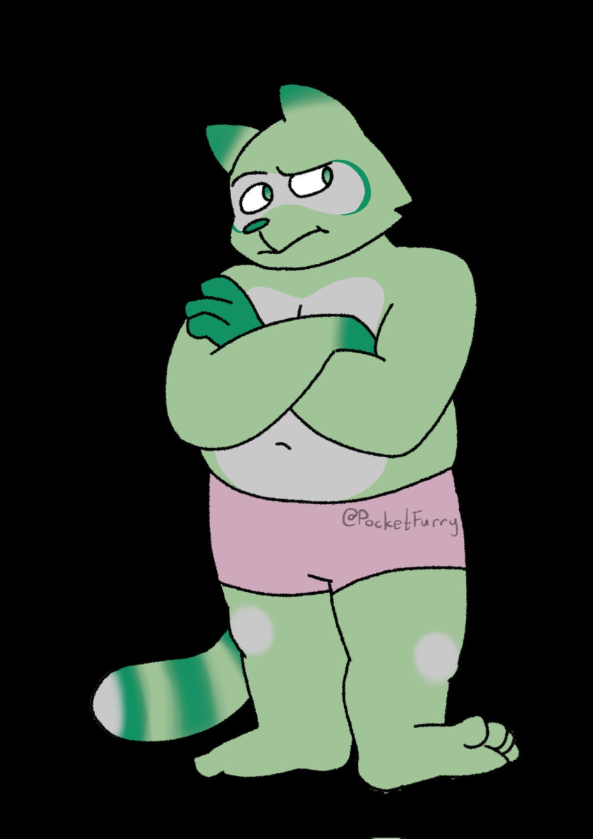 4_toes anthro bottomwear clothing crossed_arms digital_media_(artwork) english_text feet fred_(fredrick_brennan) fur green_body green_fur hi_res male mammal mouth_closed overweight overweight_male pocketfurry procyonid raccoon shorts slightly_chubby slightly_chubby_anthro slightly_chubby_male solo standing text toes